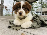 processed/feb8549f-73cf-4a38-b263-3c74713bf130/facility/bea30079-42df-4e14-98fb-83dca70bfdf8