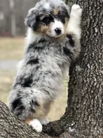 processed/feb8549f-73cf-4a38-b263-3c74713bf130/facility/f0fa0d16-ddaf-479d-86bc-65c01d281272