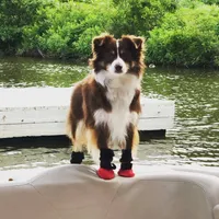 processed/feb96034-ecc4-4043-85f7-d7cf975f1ac3/facility/248bbaa0-956d-4b6d-b702-c27bc585dc33