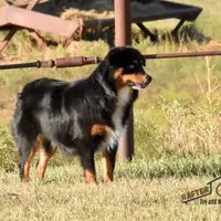 processed/feb96034-ecc4-4043-85f7-d7cf975f1ac3/facility/52902735-a8f5-432b-ac47-94904201b92d