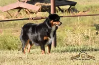 processed/feb96034-ecc4-4043-85f7-d7cf975f1ac3/facility/52902735-a8f5-432b-ac47-94904201b92d