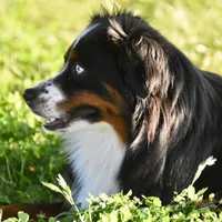 processed/feb96034-ecc4-4043-85f7-d7cf975f1ac3/facility/581f740d-8a2e-433e-afef-7fa34d64fbfc