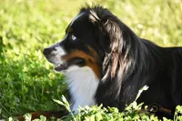 processed/feb96034-ecc4-4043-85f7-d7cf975f1ac3/facility/581f740d-8a2e-433e-afef-7fa34d64fbfc