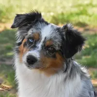 processed/feb96034-ecc4-4043-85f7-d7cf975f1ac3/facility/a5922ddf-0fc8-4ff7-8428-70f1c99ed61b