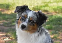 processed/feb96034-ecc4-4043-85f7-d7cf975f1ac3/facility/a5922ddf-0fc8-4ff7-8428-70f1c99ed61b