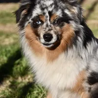 processed/feb96034-ecc4-4043-85f7-d7cf975f1ac3/facility/c859352e-7827-4c59-bec8-45aa3dc183da