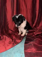 processed/fec8688e-f21d-4193-83b3-1fe147aed40f/listing/1e3fece4-aa66-44b4-82d7-b5b0f6580ebc/3537d9d3-1fd0-43de-9826-39f351e9cda2