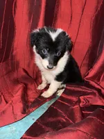 processed/fec8688e-f21d-4193-83b3-1fe147aed40f/listing/1e3fece4-aa66-44b4-82d7-b5b0f6580ebc/58389bfe-4e68-4d2d-b687-667dce211ac7