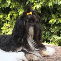 processed/fed7013d-c244-4d08-8457-fc752cd97bce/facility/deb3bafe-88a3-443a-a31e-06d7521fca04