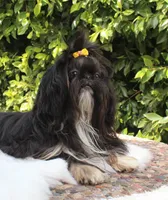 processed/fed7013d-c244-4d08-8457-fc752cd97bce/facility/deb3bafe-88a3-443a-a31e-06d7521fca04