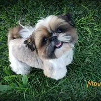 processed/fed7013d-c244-4d08-8457-fc752cd97bce/facility/e0afe628-5877-4696-8bce-9fa66603b83e