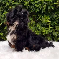 processed/fed7013d-c244-4d08-8457-fc752cd97bce/listing/55aa2f22-4eaa-4395-9e16-04a4111de9e9/1049fa1d-0fbd-417e-b293-2f0ee769279d