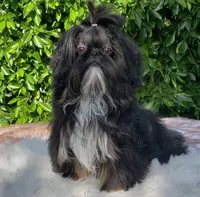 processed/fed7013d-c244-4d08-8457-fc752cd97bce/listing/55aa2f22-4eaa-4395-9e16-04a4111de9e9/33efa993-06e6-4481-99da-b31893e4f0d0