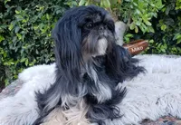 processed/fed7013d-c244-4d08-8457-fc752cd97bce/listing/55aa2f22-4eaa-4395-9e16-04a4111de9e9/6e1a7e0c-f55c-456e-81f7-a75f285d2af3