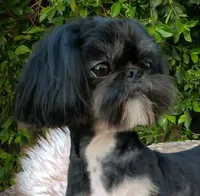 processed/fed7013d-c244-4d08-8457-fc752cd97bce/listing/55aa2f22-4eaa-4395-9e16-04a4111de9e9/89064054-24bb-4a60-86d4-bbca7a80ba16