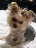 processed/fee5cf52-0bf5-4cc9-a7c9-c4b496f6981a/facility/3f7362e7-5750-4ce0-bfc6-bd3b1cfd04ab