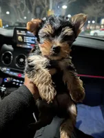 processed/fee5cf52-0bf5-4cc9-a7c9-c4b496f6981a/facility/54adc228-cbd8-4509-9e89-b72acf076624