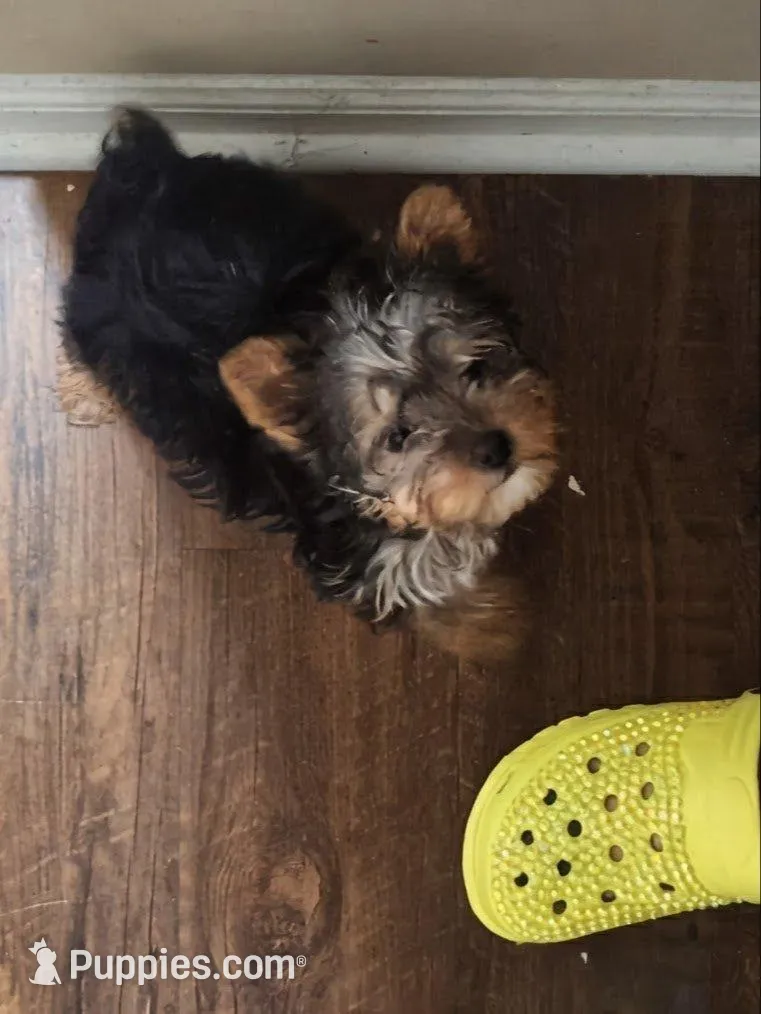 processed/fee5cf52-0bf5-4cc9-a7c9-c4b496f6981a/facility/56e6e033-da87-4931-822d-1da007b6c0d0