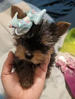 processed/fee5cf52-0bf5-4cc9-a7c9-c4b496f6981a/facility/61ee1f0d-8f02-42fc-a7cf-2cb729e815d9