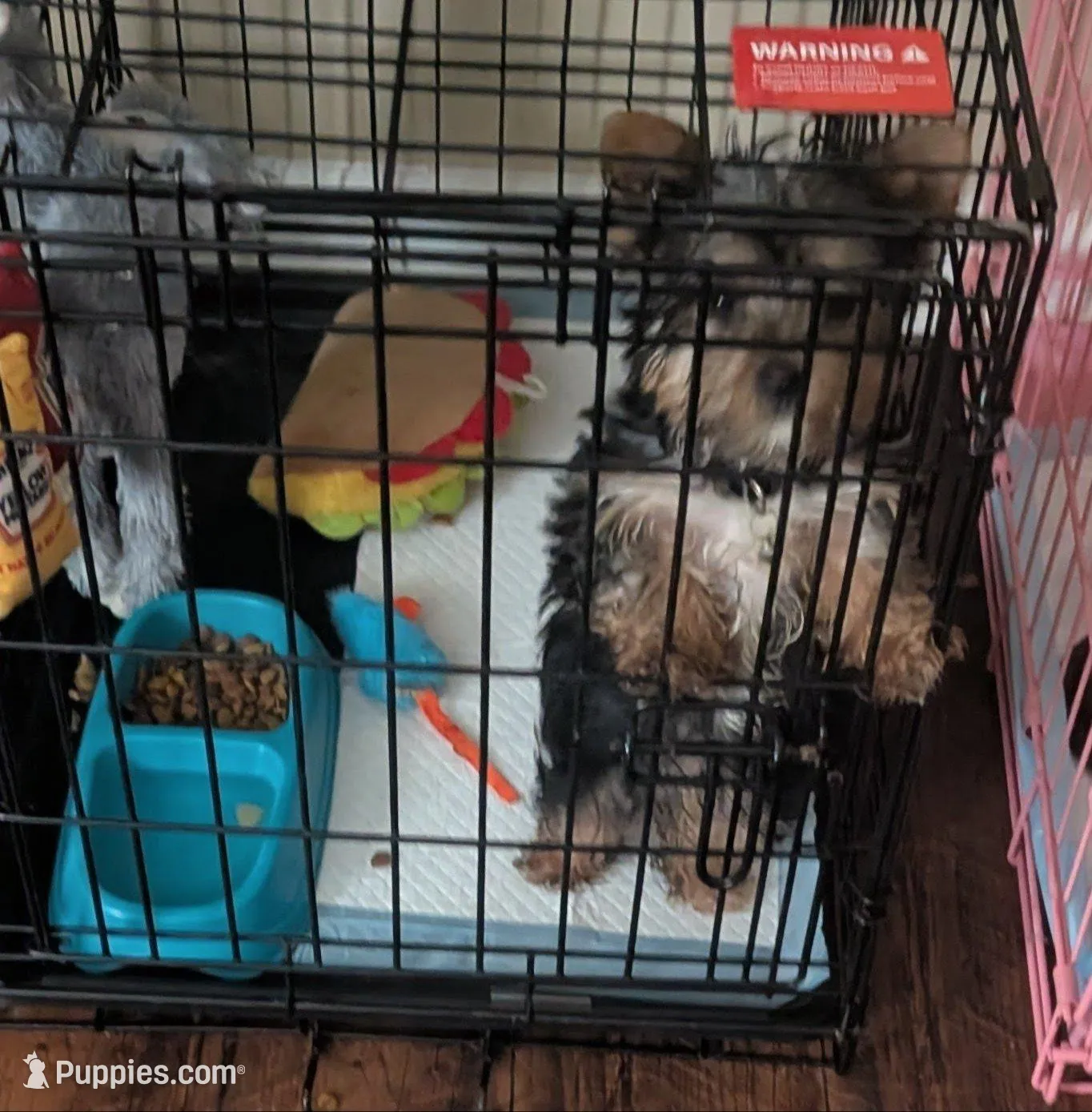 processed/fee5cf52-0bf5-4cc9-a7c9-c4b496f6981a/facility/9e91b811-4128-4391-9eed-38ee4d0d94dd