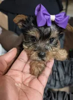 processed/fee5cf52-0bf5-4cc9-a7c9-c4b496f6981a/facility/a536dddb-296f-47df-972b-be4df352946d