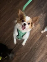 processed/fee5cf52-0bf5-4cc9-a7c9-c4b496f6981a/facility/b9000e3b-bb72-4770-9af1-f9ef8a4796aa