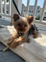 processed/fee5cf52-0bf5-4cc9-a7c9-c4b496f6981a/facility/e83d5457-6bf9-4234-864e-e1998ca800ca