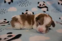 Facility photo