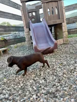 Tiny, a female Chug for sale in Arlington Heights, WA – 4 of 6