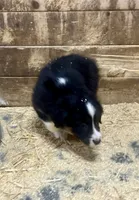 processed/fef95a09-b190-40e9-abe7-c691069c55a4/listing/c60bd898-dad6-4b9f-968e-3255ae435e56/07477648-762c-4b6a-a98d-35ed235117fd