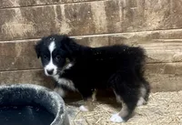 processed/fef95a09-b190-40e9-abe7-c691069c55a4/listing/c60bd898-dad6-4b9f-968e-3255ae435e56/0d317005-4a80-4536-92e1-b04d455f91d6