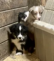 processed/fef95a09-b190-40e9-abe7-c691069c55a4/listing/c60bd898-dad6-4b9f-968e-3255ae435e56/682e1c5d-bc85-49fe-8195-4e40b30f0f15