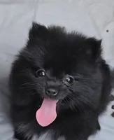 processed/ff03d79c-ead1-495c-b1bb-89ced285aa2a/facility/897ae444-b3e9-40d5-8f17-72f68308e460