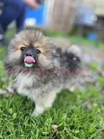 processed/ff03d79c-ead1-495c-b1bb-89ced285aa2a/facility/9aa272ba-b5f1-4ae5-941f-e26990d965cd