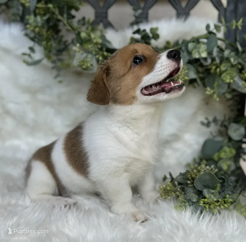 Sweet P Mama's coming for you