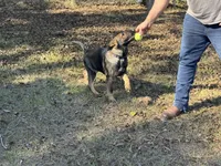 processed/ff076da4-2b71-4024-b1c0-c6a42f0acc49/listing/224c6bdc-dbe9-42df-986e-ef5767ce3735/1fd298b2-272b-4bc5-8d3b-a5fe1f4aa5d8