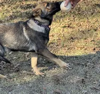 processed/ff076da4-2b71-4024-b1c0-c6a42f0acc49/listing/224c6bdc-dbe9-42df-986e-ef5767ce3735/2aec7be8-5112-4347-a2e9-ea5111c0368f