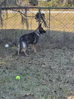 processed/ff076da4-2b71-4024-b1c0-c6a42f0acc49/listing/224c6bdc-dbe9-42df-986e-ef5767ce3735/3697316f-9fc0-43bf-a43d-cc6c952bf0ae