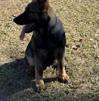 processed/ff076da4-2b71-4024-b1c0-c6a42f0acc49/listing/224c6bdc-dbe9-42df-986e-ef5767ce3735/72ce35ec-8e37-4524-a6fc-77f0ae28e7bd