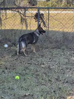 processed/ff076da4-2b71-4024-b1c0-c6a42f0acc49/listing/224c6bdc-dbe9-42df-986e-ef5767ce3735/a19474f6-ba35-476c-b66f-0217976bc3c0