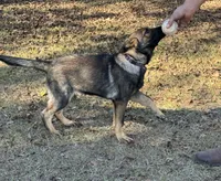 processed/ff076da4-2b71-4024-b1c0-c6a42f0acc49/listing/224c6bdc-dbe9-42df-986e-ef5767ce3735/cbbec3c0-7794-4924-8a80-4c01c71e821d