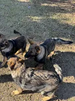 processed/ff076da4-2b71-4024-b1c0-c6a42f0acc49/listing/224c6bdc-dbe9-42df-986e-ef5767ce3735/e22c0522-80f9-423f-8850-cd06bc6b5aab