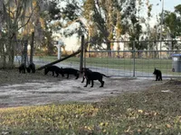 processed/ff076da4-2b71-4024-b1c0-c6a42f0acc49/listing/33a49a55-36cf-43a0-b8b2-a4e20d70d9af/0682a49a-c2eb-41e2-a558-ebe782c4a4ae