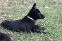 processed/ff076da4-2b71-4024-b1c0-c6a42f0acc49/listing/33a49a55-36cf-43a0-b8b2-a4e20d70d9af/1604d7fc-5e6d-4e48-a203-ef42722fd839