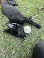 processed/ff076da4-2b71-4024-b1c0-c6a42f0acc49/listing/33a49a55-36cf-43a0-b8b2-a4e20d70d9af/166f14f7-9c1b-46c8-85e8-b958a7e332d8