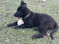 processed/ff076da4-2b71-4024-b1c0-c6a42f0acc49/listing/33a49a55-36cf-43a0-b8b2-a4e20d70d9af/3ae4c60f-adbc-4169-9b9b-75f9448ed666