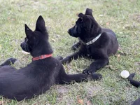 processed/ff076da4-2b71-4024-b1c0-c6a42f0acc49/listing/33a49a55-36cf-43a0-b8b2-a4e20d70d9af/564567a5-a07f-4d11-9260-ff3c54c4cc7e