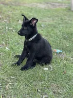 processed/ff076da4-2b71-4024-b1c0-c6a42f0acc49/listing/33a49a55-36cf-43a0-b8b2-a4e20d70d9af/6530f9e5-ce81-4dab-bffe-d65b94bdd493