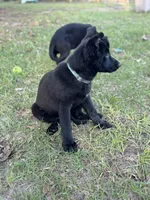 processed/ff076da4-2b71-4024-b1c0-c6a42f0acc49/listing/33a49a55-36cf-43a0-b8b2-a4e20d70d9af/ae637320-63ef-45a3-ade8-e48bdc27a70b