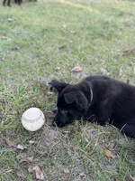 processed/ff076da4-2b71-4024-b1c0-c6a42f0acc49/listing/33a49a55-36cf-43a0-b8b2-a4e20d70d9af/b302ec27-d5cb-4450-8433-3ca1ddea171f